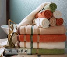 广州天萱日用品面巾产品系列介绍